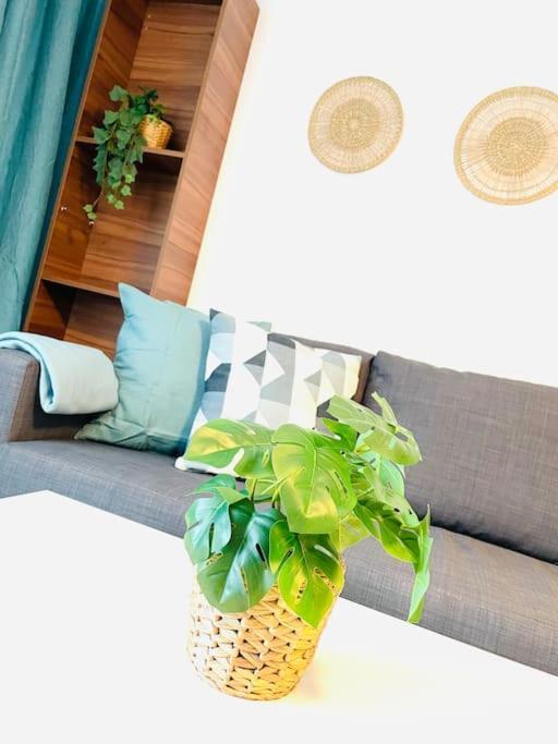 Allgaeu Living - 46Sqm オーバーシュタウフェン エクステリア 写真